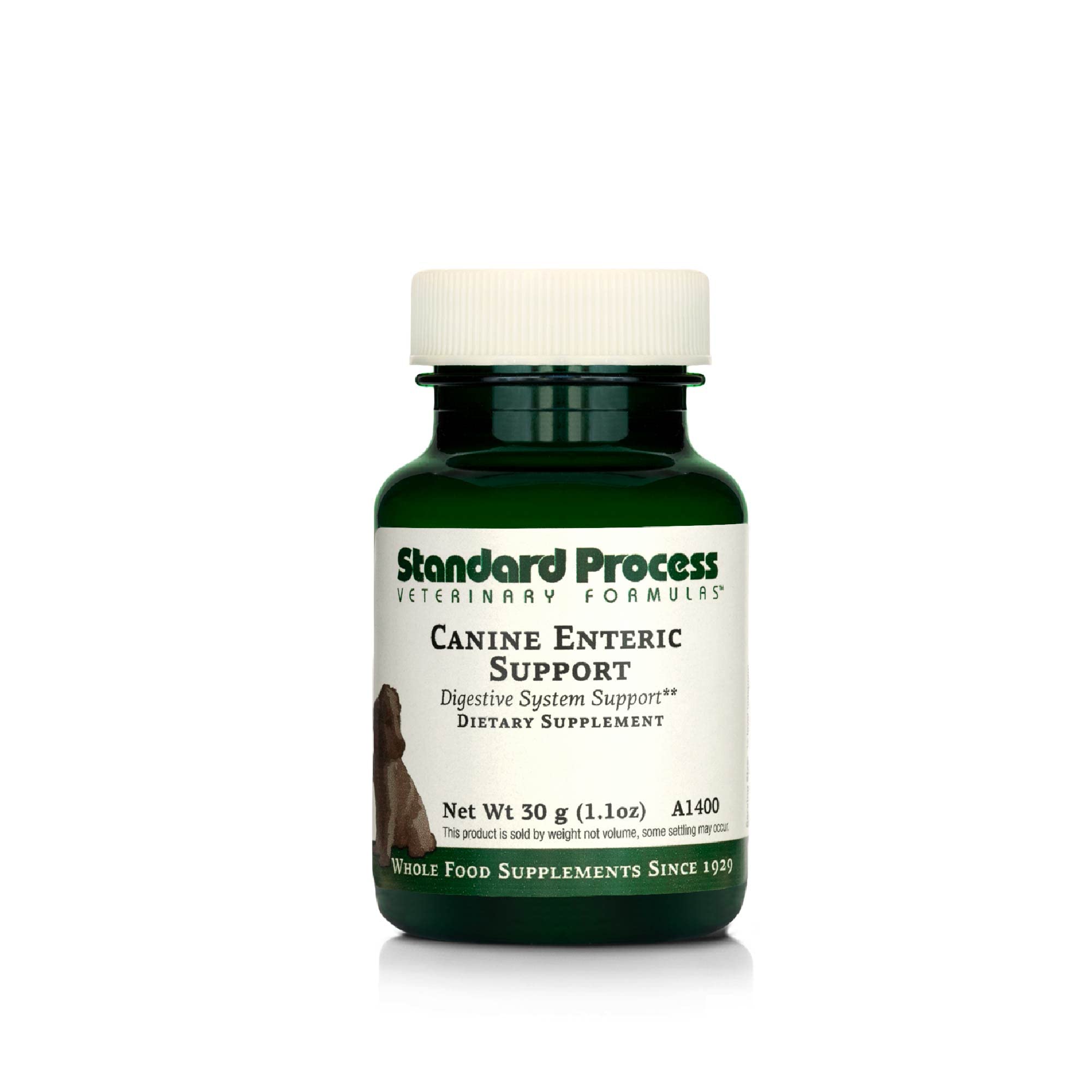 Standard Process Canine Enteric Support - Digestive System Support for Dogs - Nutritional Dog Supplement for Gut Health Support - Canine Supplement Formula to Aid Healthy Digestion - 30 g