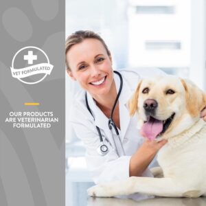 NaturVet – Senior Wellness Hip & Joint Advanced Plus Omegas | Help Support Your Pet’s Healthy Hip & Joint Function | Supports Joints, Cartilage & Connective Tissues | 120 Soft Chews