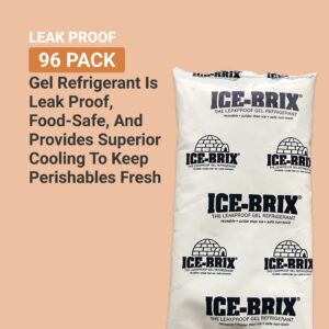 AVIDITI Ice-Brix Ice Packs: Food-Safe Reusable Refrigerant Gel Ice Packs for Instant Reliable Cold in Coolers, Shipping, or Lunch Box - 5” x 2 ¾”, (96 Pack)