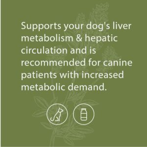 Standard Process - Canine Hepatic Support - Liver Metabolism Support for Dogs - 30 Grams