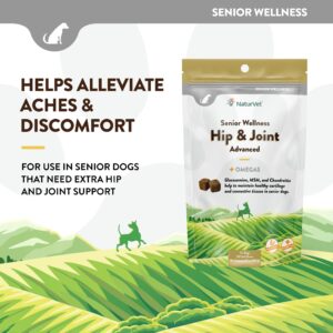 NaturVet – Senior Wellness Hip & Joint Advanced Plus Omegas | Help Support Your Pet’s Healthy Hip & Joint Function | Supports Joints, Cartilage & Connective Tissues | 120 Soft Chews