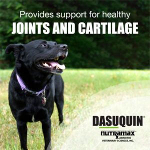 Nutramax Laboratories Dasuquin Joint Health Supplement for Large Dogs - With Glucosamine, Chondroitin, ASU, Boswellia Serrata Extract, and Green Tea Extract, 150 Soft Chews