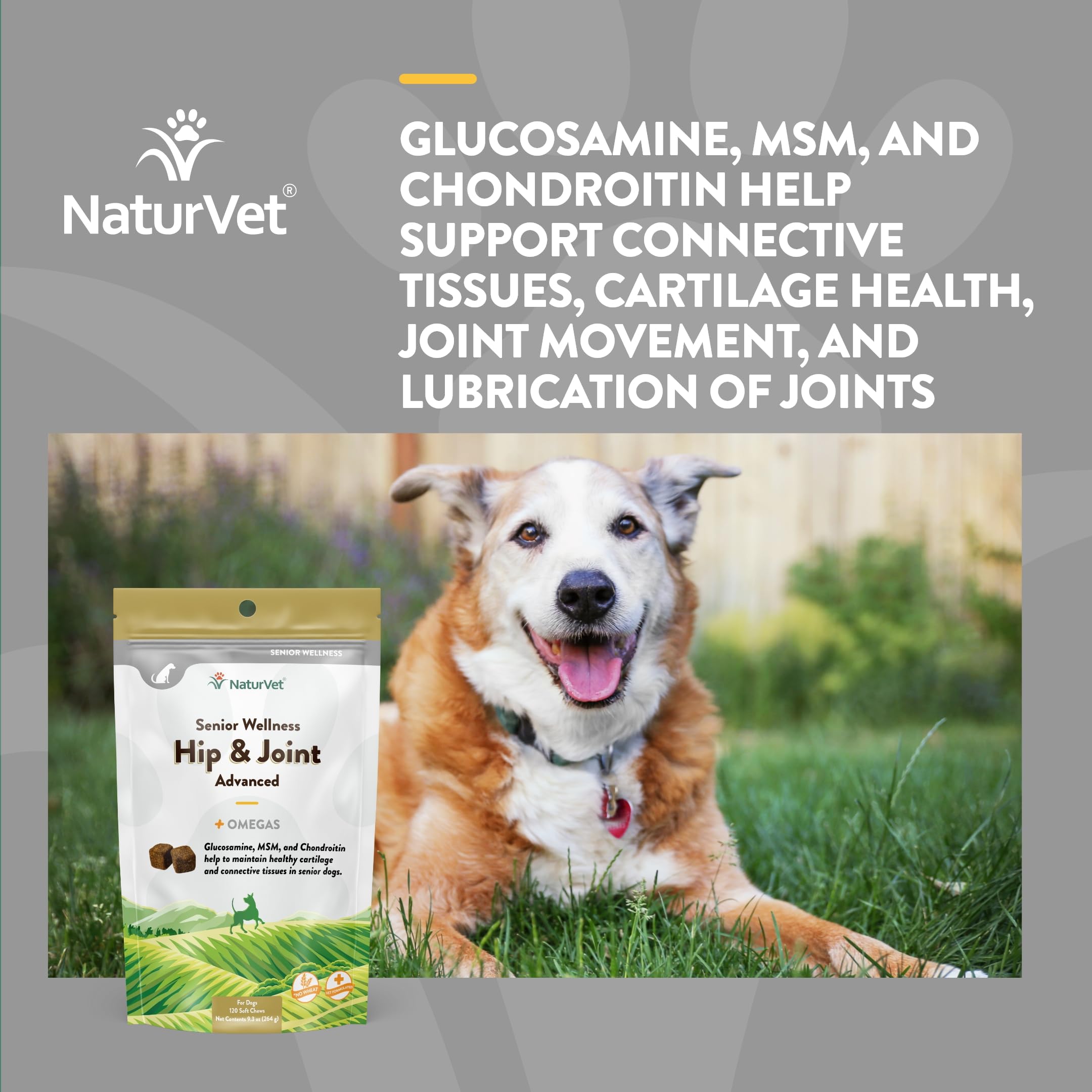 NaturVet – Senior Wellness Hip & Joint Advanced Plus Omegas | Help Support Your Pet’s Healthy Hip & Joint Function | Supports Joints, Cartilage & Connective Tissues | 120 Soft Chews