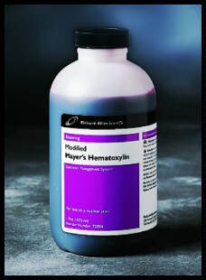 Modified Mayer's Hematoxylin Stain, 473ml [ 1 Pint(s)]