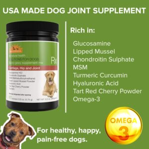 WellyTails Glucosamine Chondroitin MSM Turmeric Dog Joint Supplement for Large Dogs 12.2 oz. (60 Scoops)