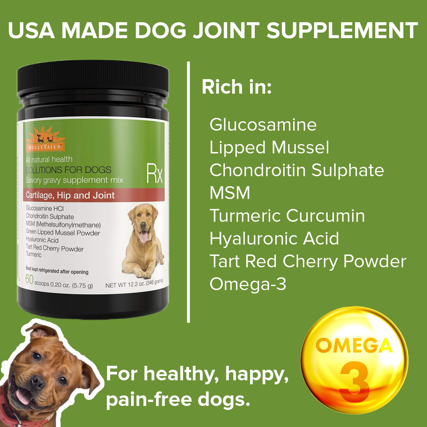 WellyTails Glucosamine Chondroitin MSM Turmeric Dog Joint Supplement for Large Dogs 12.2 oz. (60 Scoops)