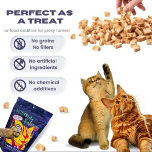 WILDSIDESALMON WildSide Salmon - 100% Wild Alaskan Salmon Freeze Dried Cat Treats - Healthy Training Treat - 3oz (3 Pack)