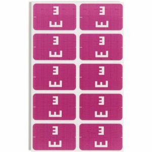 Smead AlphaZ ACCS Color-Coded Alphabetic Label E, Purple, 100 Labels per Pack (67175)