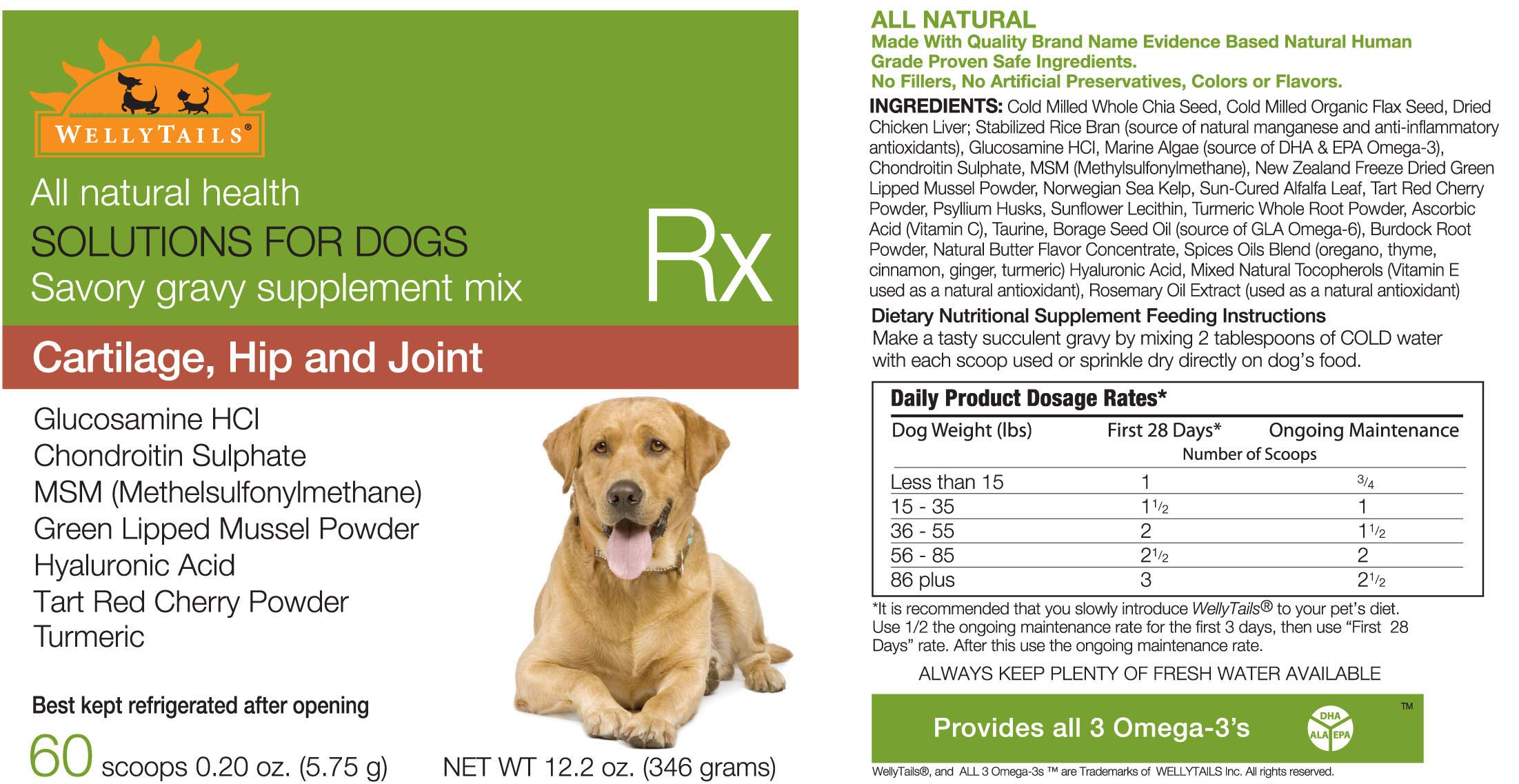 WellyTails Glucosamine Chondroitin MSM Turmeric Dog Joint Supplement for Large Dogs 12.2 oz. (60 Scoops)