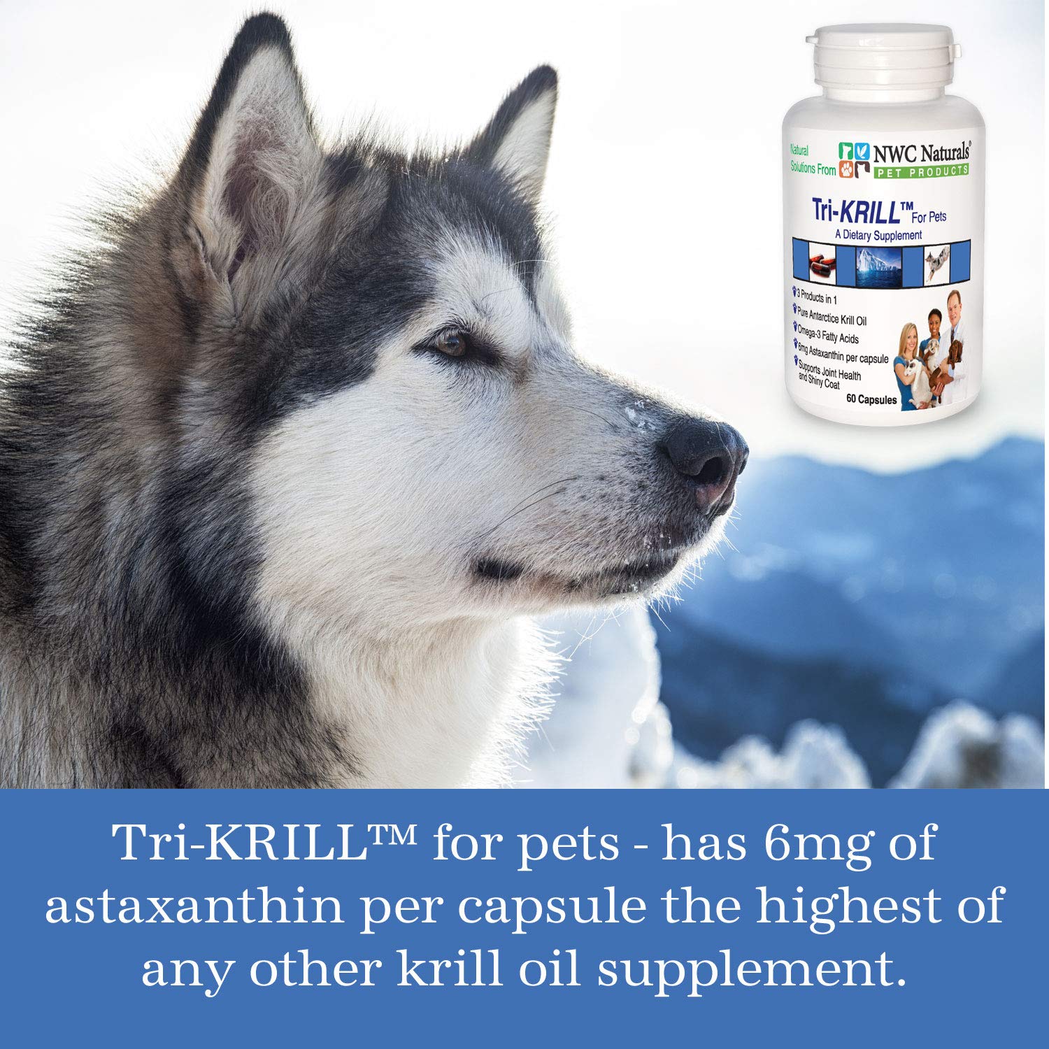 Tri-Krill Oil Capsule Supplement for Dogs and Cats, Supports Joint, Brain, Supports Healthy Skin and Coat, Pure Antarctic Krill with Astaxanthin, Omega-3, DHA, EPA by NWC Naturals