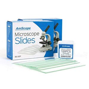 AmScope Microscope Slides, 100 Blank Slides with 100 Cover Glass