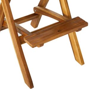 Christopher Knight Home Atlantic Outdoor Foldable Wood Barstool, 31", Natural Wood