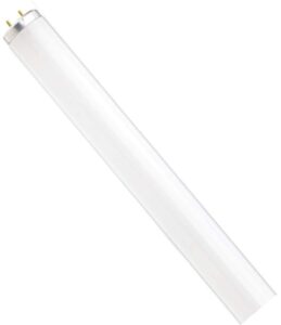 sylvania rapid start 48" 40w t12 linear fluorescent lamp, 5000k daylight, 1 pack