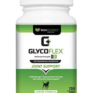 VETRISCIENCE Glyco Flex® 2 Hip and Joint Supplement for Dogs, Chewable Tablets (2 pack)