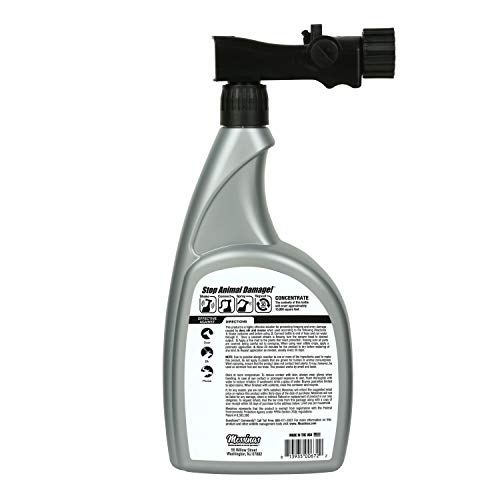 Deer Stopper II, Liquid Animal Stopper Repellent, All Natural, Effective All Year Round, Safe for People and Pets, No Harsh Chemicals, Ready to Use, Deer & Elk Repellent - 32 oz. Hose End