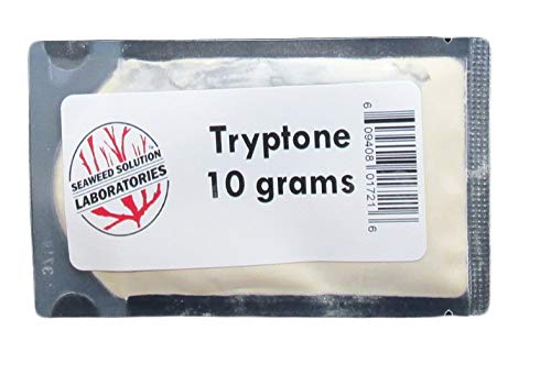 Tryptone (Pancreatic Digest of Casein) - 10 Grams