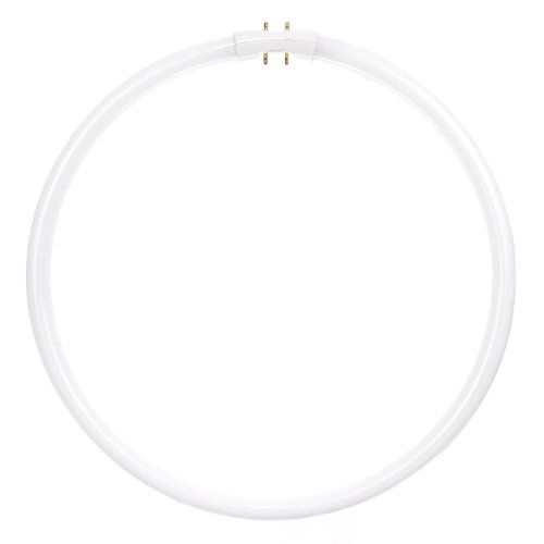 Sunlite FC40T5/SP835 Fluorescent 40W T5 Circline Ceiling Lights, 3500K Neutral White Light, 2GX13 (40 watts)