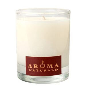 Aroma Naturals Holiday Soy Essential Oil Candle Gift Set