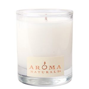 Aroma Naturals Holiday Soy Essential Oil Candle Gift Set