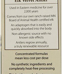 Wapiti Labs Inc Cat ReVitalize Formula Pet Supplement, 15gm