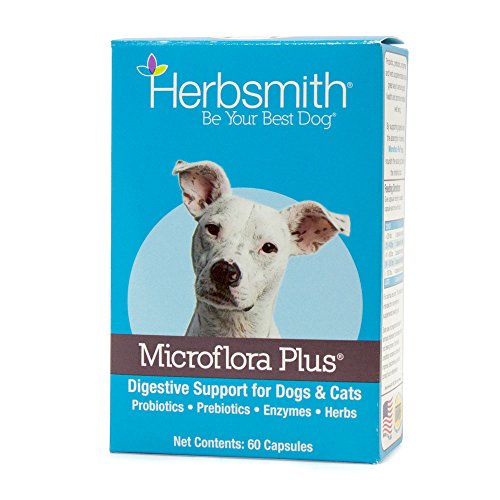 Herbsmith Microflora Plus – Dog Digestion Aid –Probiotics and Digestive Enzymes for Dogs – Prebiotic for Dogs – 60 Capsules