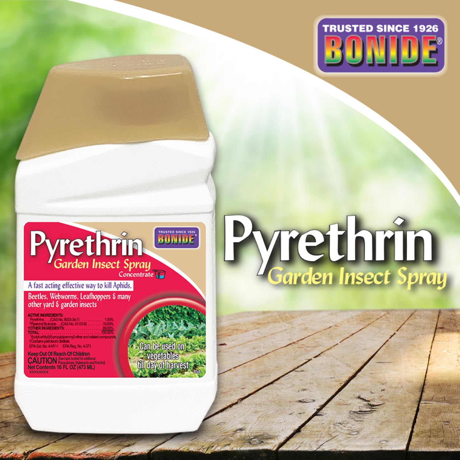 Bonide Pyrethrin Garden Insect Spray Concentrate, 16 oz Ready-to-Mix Fast Acting Insecticide for Outdoor Garden Use