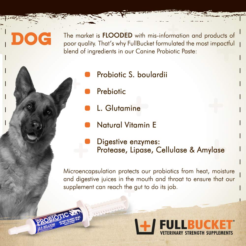 FullBucket Canine Probiotic Paste for Dogs with 12.5 Billion Probiotic CFUs, Enzymes, Prebiotics and L-Glutamine for Urgent Care, 32.5 mL Tube