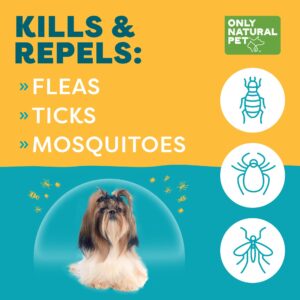 Only Natural Pet Flea and Tick Prevention for Small Breed Dogs (up to 15 lbs) - EasyDefense Flea Remedy - Natural Flea Control Herbal Squeeze-On Drops - Three Month Supply (Single)