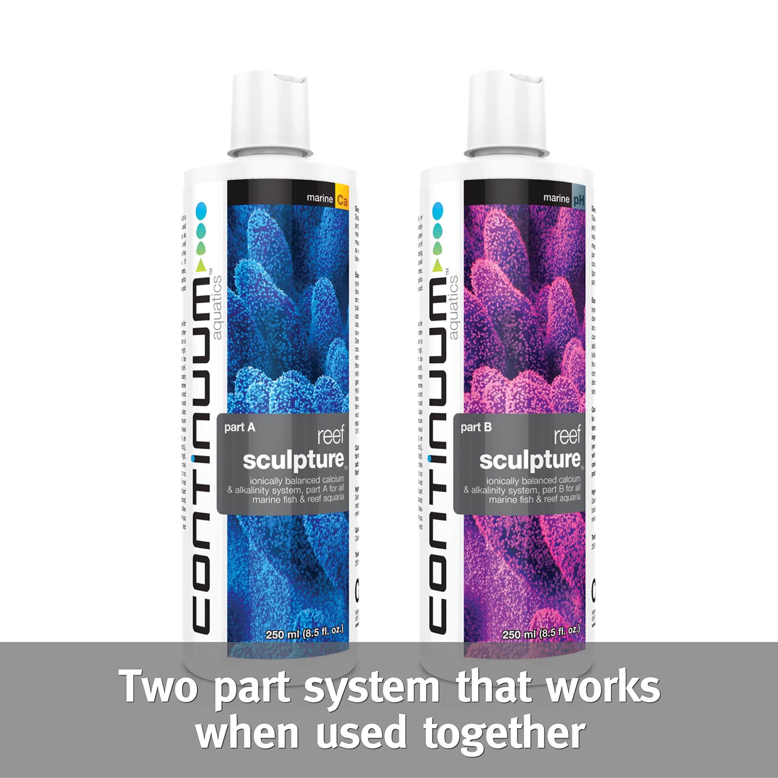 Continuum Aquatics ACO30533 Sculpture Part B Liquid for Aquarium, 16.9-Ounce