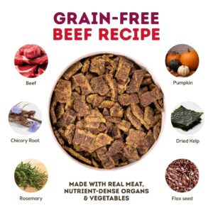 Only Natural Pet MaxMeat Holistic Air Dried Dry Dog Food - All Natural, High Protein, Grain Free and Limited Ingredient - Made with Real Meat - Beef with Pumpkin & Parsley 5.5 lb