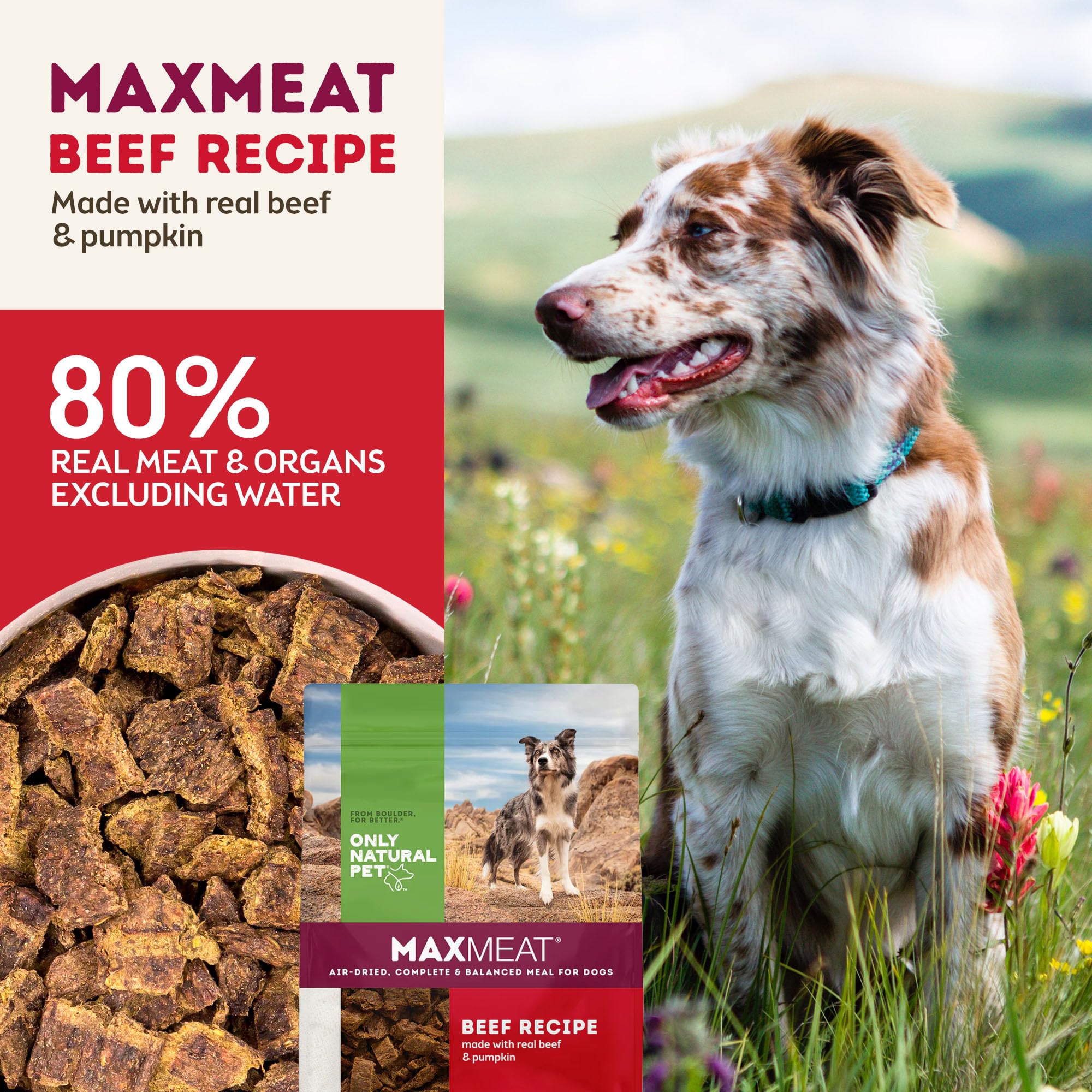 Only Natural Pet MaxMeat Holistic Air Dried Dry Dog Food - All Natural, High Protein, Grain Free and Limited Ingredient - Made with Real Meat - Beef with Pumpkin & Parsley 5.5 lb