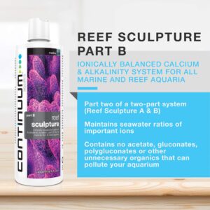 Continuum Aquatics ACO30533 Sculpture Part B Liquid for Aquarium, 16.9-Ounce