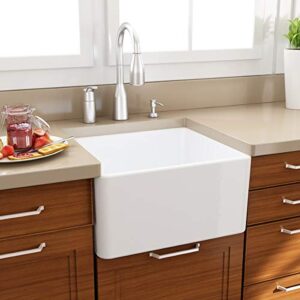 Nantucket Sinks T-FCFS-20 20-Inch Single Bowl Fireclay Farmhouse Kitchen Sink, White