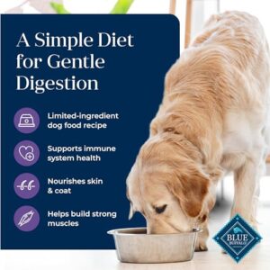 Blue Buffalo Basics Adult Grain-Free Dry Dog Food for Skin & Stomach Care, Limited Ingredient Diet, Made in the USA with Natural Ingredients, Turkey & Potato Recipe, 11-lb. Bag