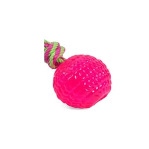 Petface Toyz Rope Ball Chew and Tug Dog Toy (Pack of 1 - Colour May Vary)