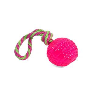 Petface Toyz Rope Ball Chew and Tug Dog Toy (Pack of 1 - Colour May Vary)