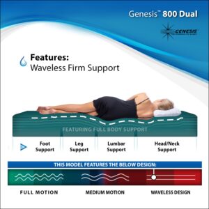 InnoMax Genesis Dual 800 Ultra Waveless Lumbar Support Waterbed Mattress, King