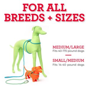 Harness Lead No Pull Dog Harness and Leash Set, Anti Pull Dog Harness for All Breeds and Sizes, One-Piece Cushioned Rope Design Safely Prevents Escaping and Pulling (Medium/Large, Blue/Multi)