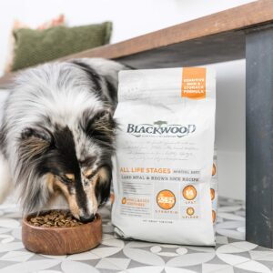 Blackwood Special Diet All Life Stages Dry Dog Food, 15Lb., Catfish & Pearled Barley Recipe, Sensitive Skin and Stomach, Grain Free Dog Food