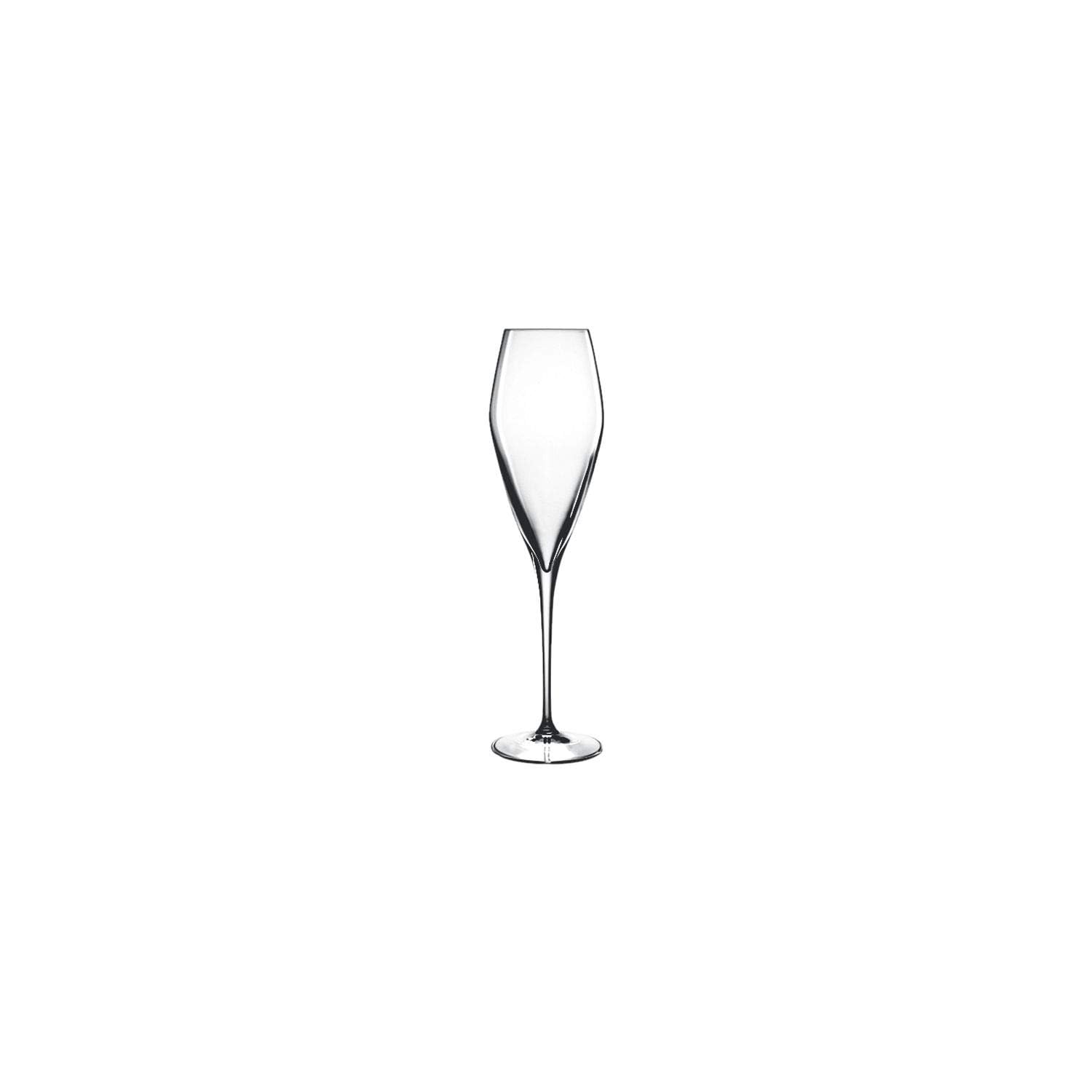 Luigi Bormioli - 08748/07 Luigi Bormioli Atelier 9.25 oz Champagne Glasses, Set of 6, Clear