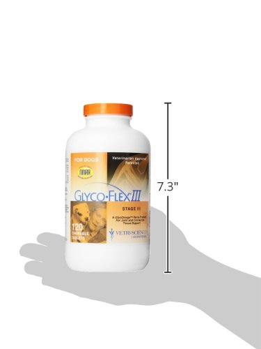 VetriScience Glycoflex 3 Clinically Proven Hip and Joint Supplement for Dogs - Maximum Strength Dog Supplement with Glucosamine, MSM, Green Lipped Mussel & DMG - 2 Pack (120 Chewable Tablets Each)​