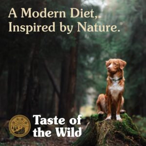 Taste of the Wild Southwest Canyon Canine Recipe with Beef in Gravy 13.2oz