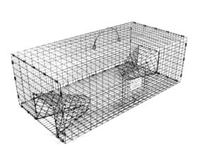 model 501 - tomahawk rigid double door sparrow trap