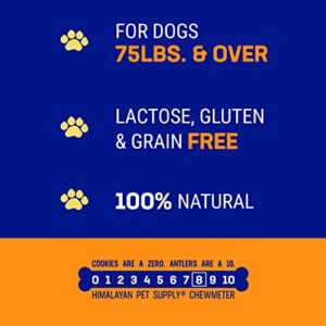 Himalayan Dog Chew for Big Dogs - Long Lasting, Stain Free, Protein Rich, Low Odor - 100% Natural, Healthy & Safe - No Lactose, Gluten Or Grains - XX Large - for Dogs 75 Lbs & Larger