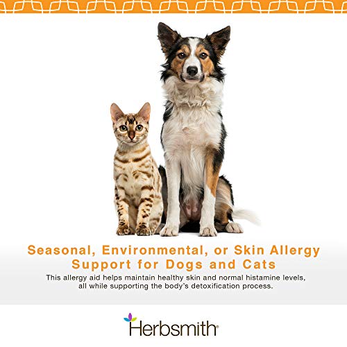 Herbsmith Clear AllerQi – Allergy Aid for Cats and Dogs – Pet Allergy Support – Anti Itch Pills for Dogs and Cats – 500g Powder