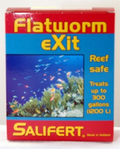 Flatworm Exit