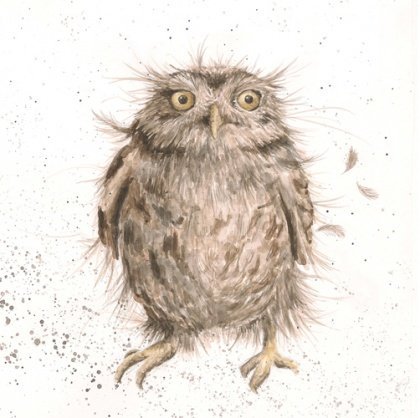 Birthday / Blank Artist Card (WRE0087) Little Owl - 'What A Hoot'