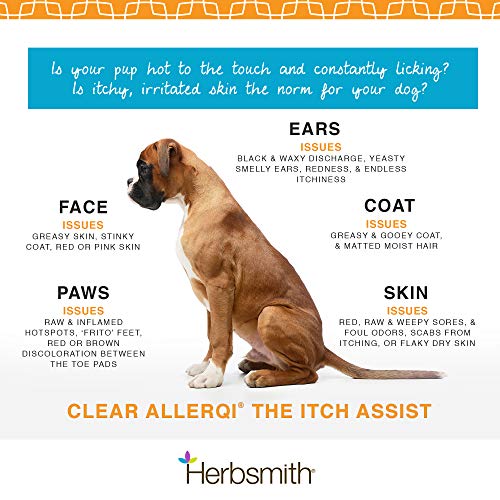 Herbsmith Clear AllerQi – Allergy Aid for Cats and Dogs – Pet Allergy Support – Anti Itch Pills for Dogs and Cats – 500g Powder