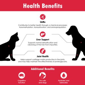 Denestra - Same for Dogs & Cats - S-Adenosyl-L-Methionine - Liver, Joint and Cognitive Support for Cats and Small Dogs - Vet Approved - 400 mg - 180 Tablets