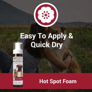 Vet Classics Allergy Hot Spot Foam for Dogs and Cats – Pet Spray for Hot Spots, Itchy, Irritated Skin – Includes Aloe Vera – Quiet Pet Foam for Sensitive Skin, Quick-Drying – 8 Oz.